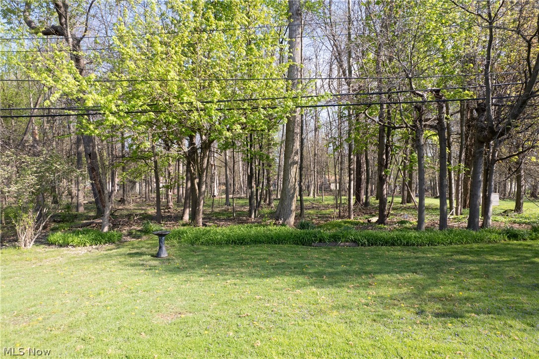 5297 Marian Drive Lyndhurst OH 44124