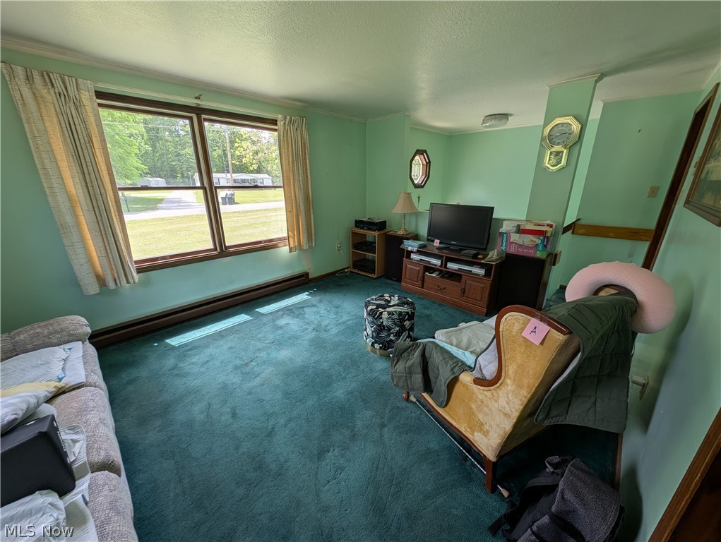 10685 Scotts Corner Road Diamond OH 44412