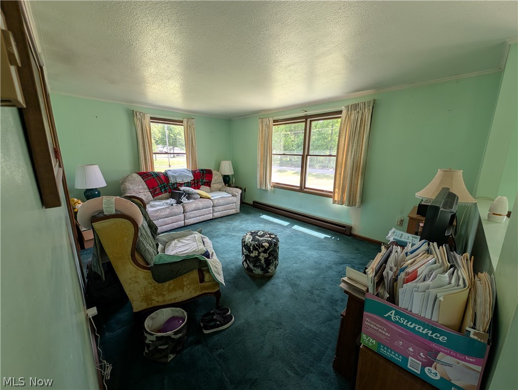 10685 Scotts Corner Road Diamond OH 44412