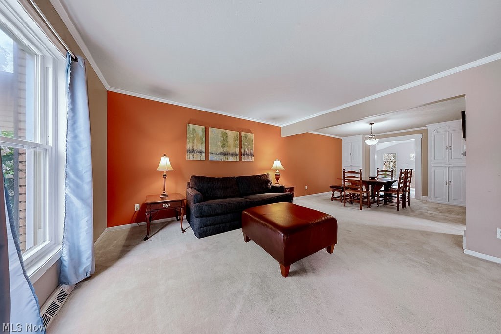 6982 Carol Drive Independence OH 44131