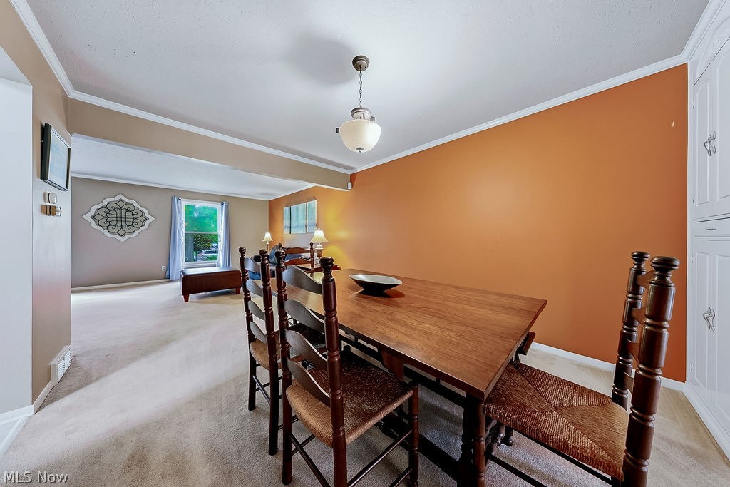 6982 Carol Drive Independence OH 44131