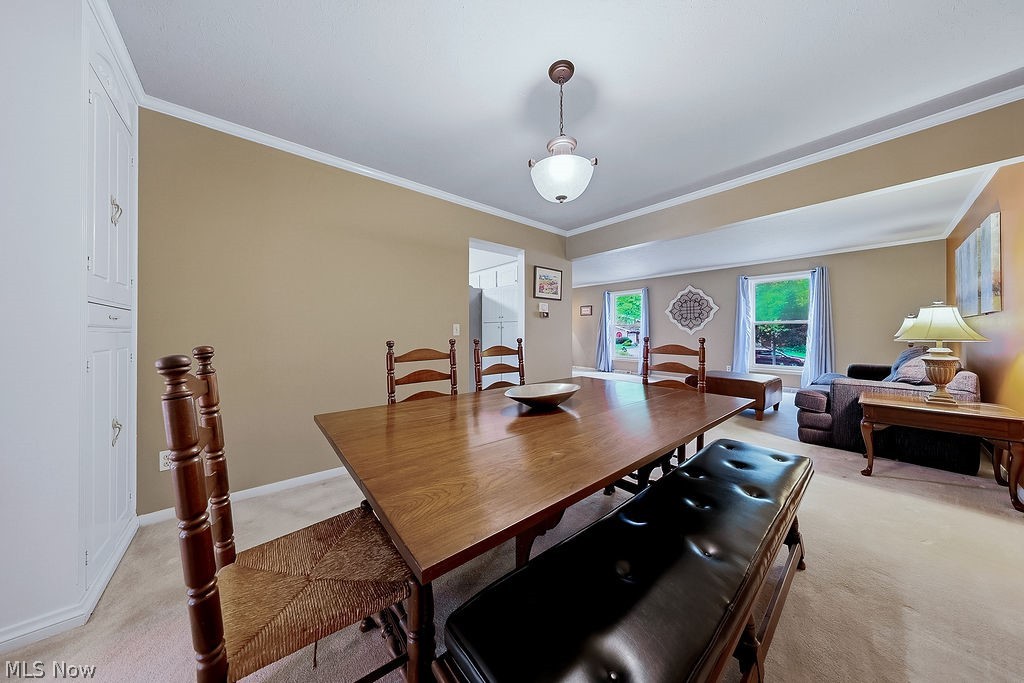 6982 Carol Drive Independence OH 44131