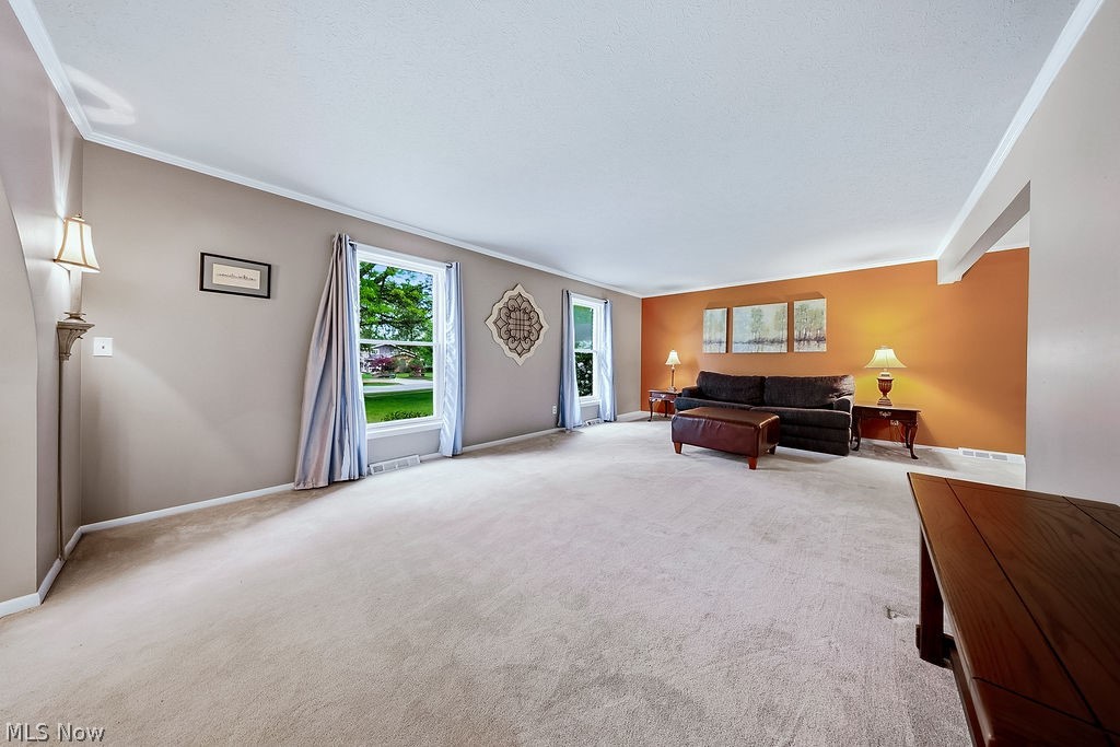 6982 Carol Drive Independence OH 44131