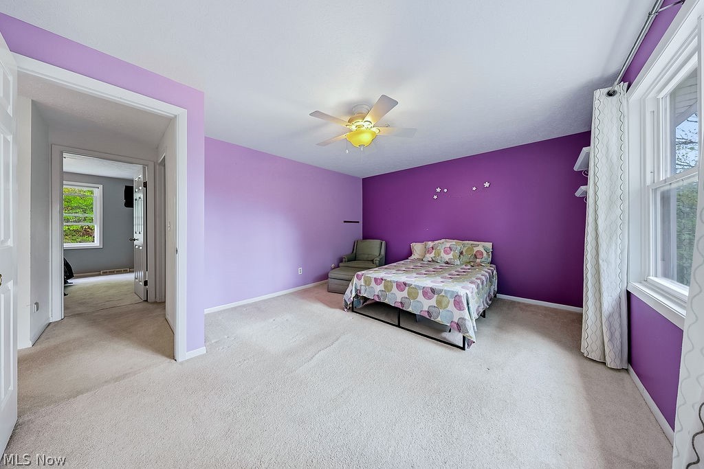 6982 Carol Drive Independence OH 44131