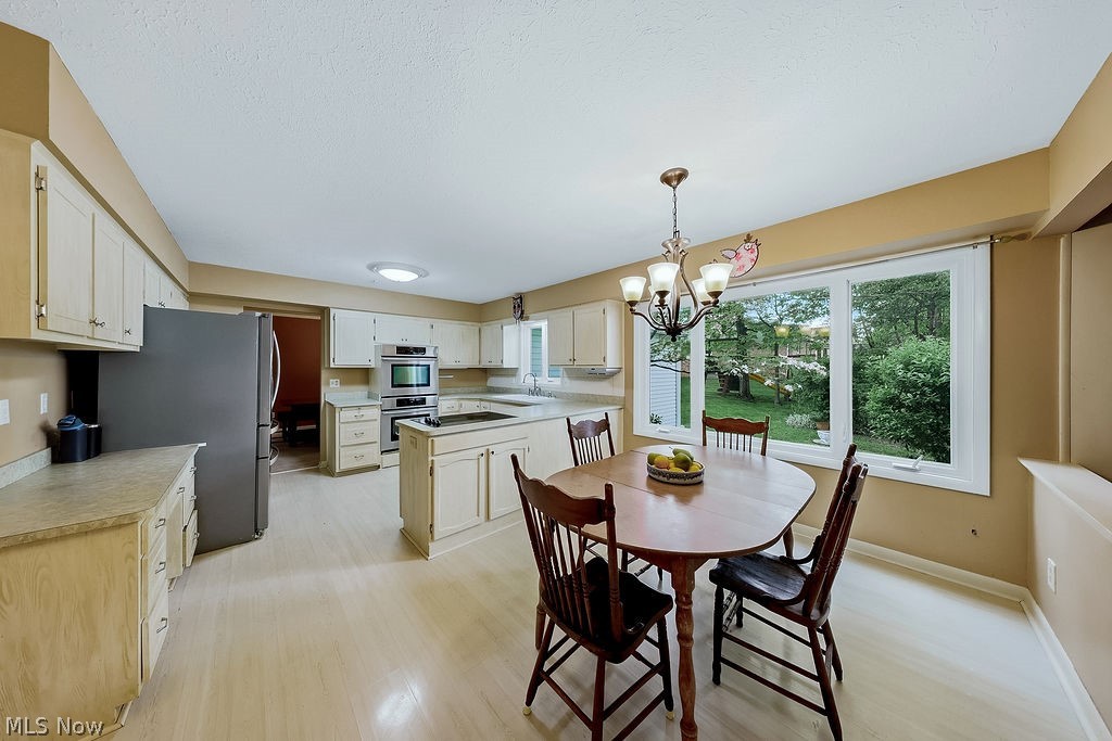 6982 Carol Drive Independence OH 44131