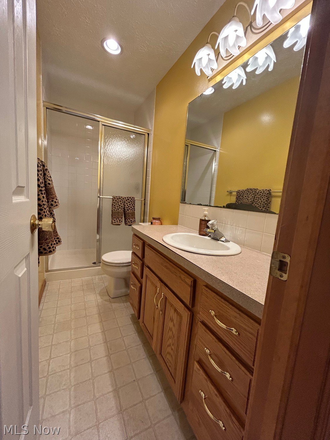 442 Berry Ridge Drive Amherst OH 44001