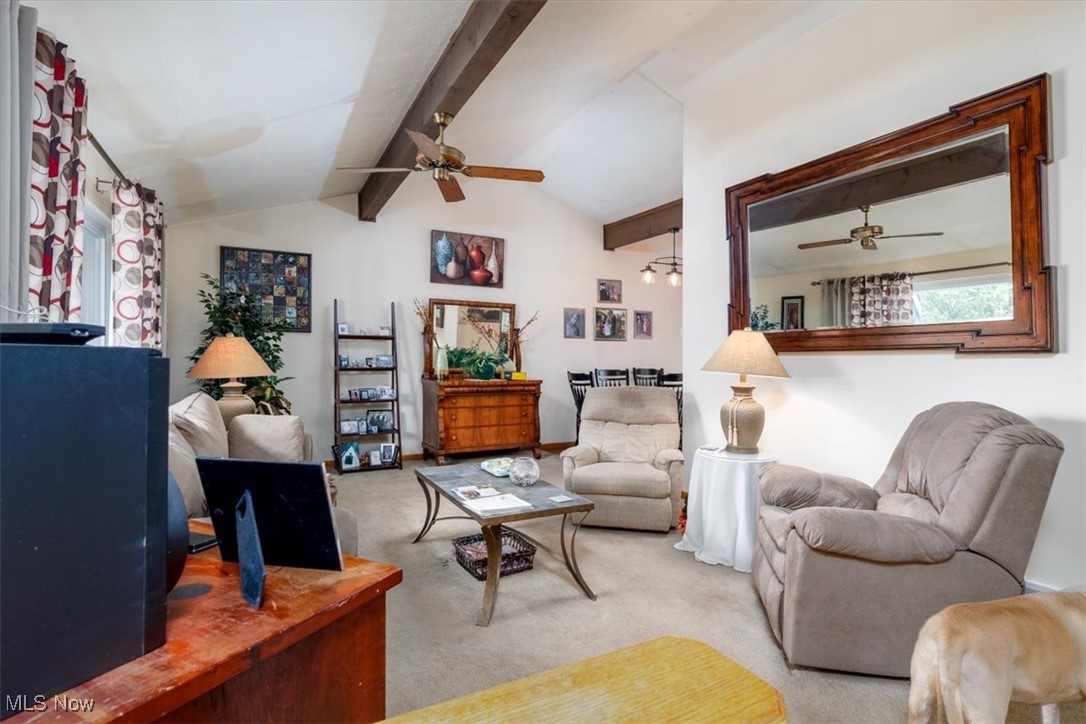 4627 Hickory Ridge Avenue Brunswick OH 44212