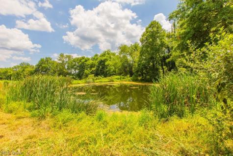 9503 Mennonite Road Wadsworth OH 44281