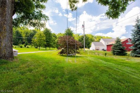 9503 Mennonite Road Wadsworth OH 44281