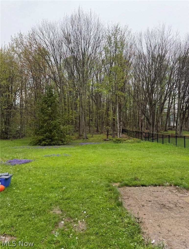 1263 Nicola Drive Aurora OH 44202