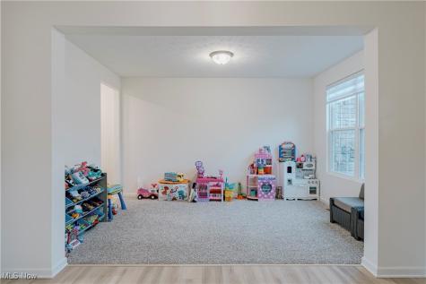 4433 Chaseline Ridge Brunswick OH 44212