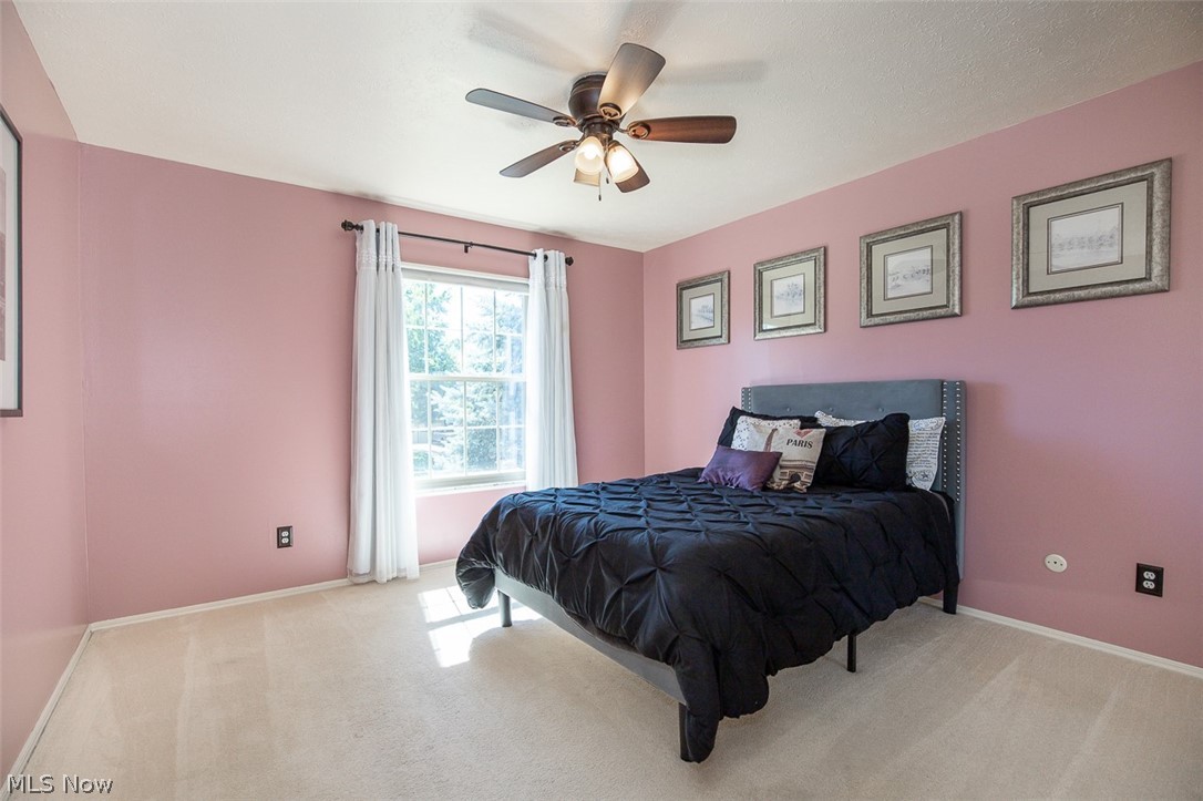 905 Hampton Drive Macedonia OH 44056