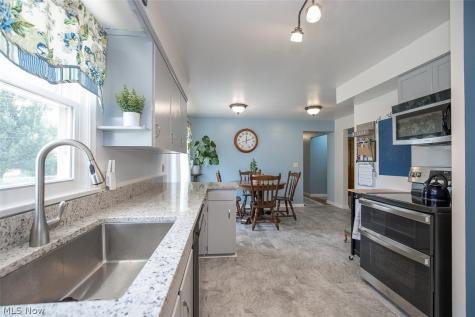 173 Terra Lane Amherst OH 44001