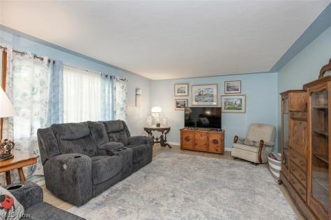 173 Terra Lane Amherst OH 44001