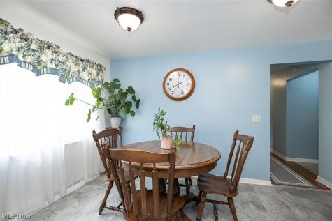173 Terra Lane Amherst OH 44001