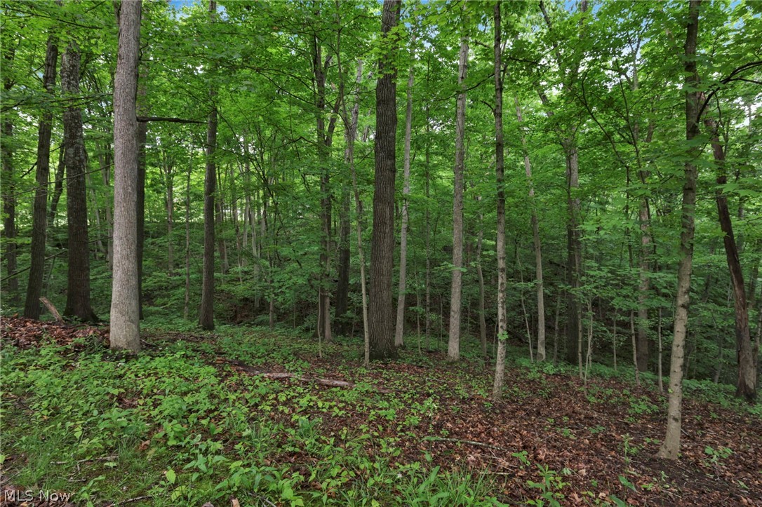 60467 Apache Lane Senecaville OH 43780