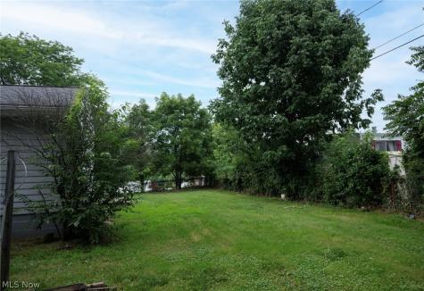 45 Columbine Avenue Akron OH 44312