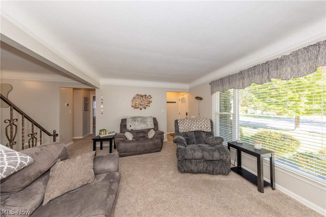 1746 Hawthorne Drive Mayfield Heights OH 44124