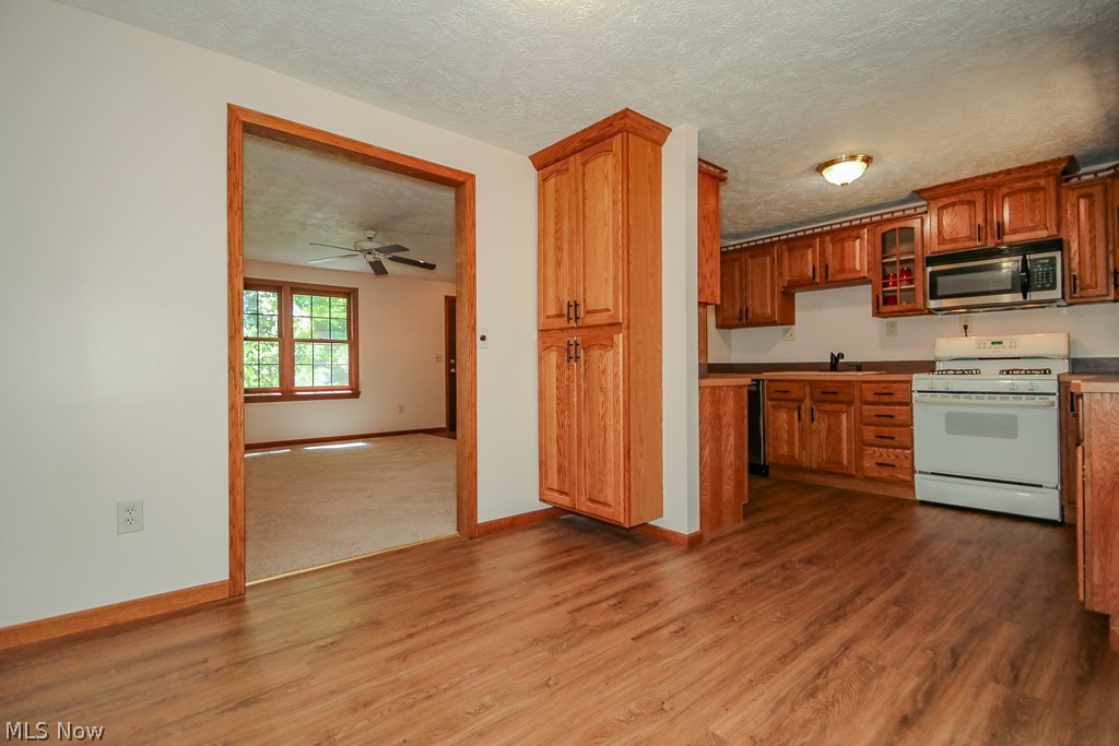 615 Trailwood Drive Painesville OH 44077