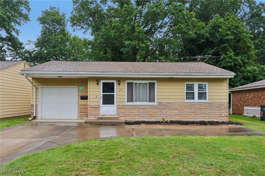 272 Tolbert Street Wadsworth OH 44281