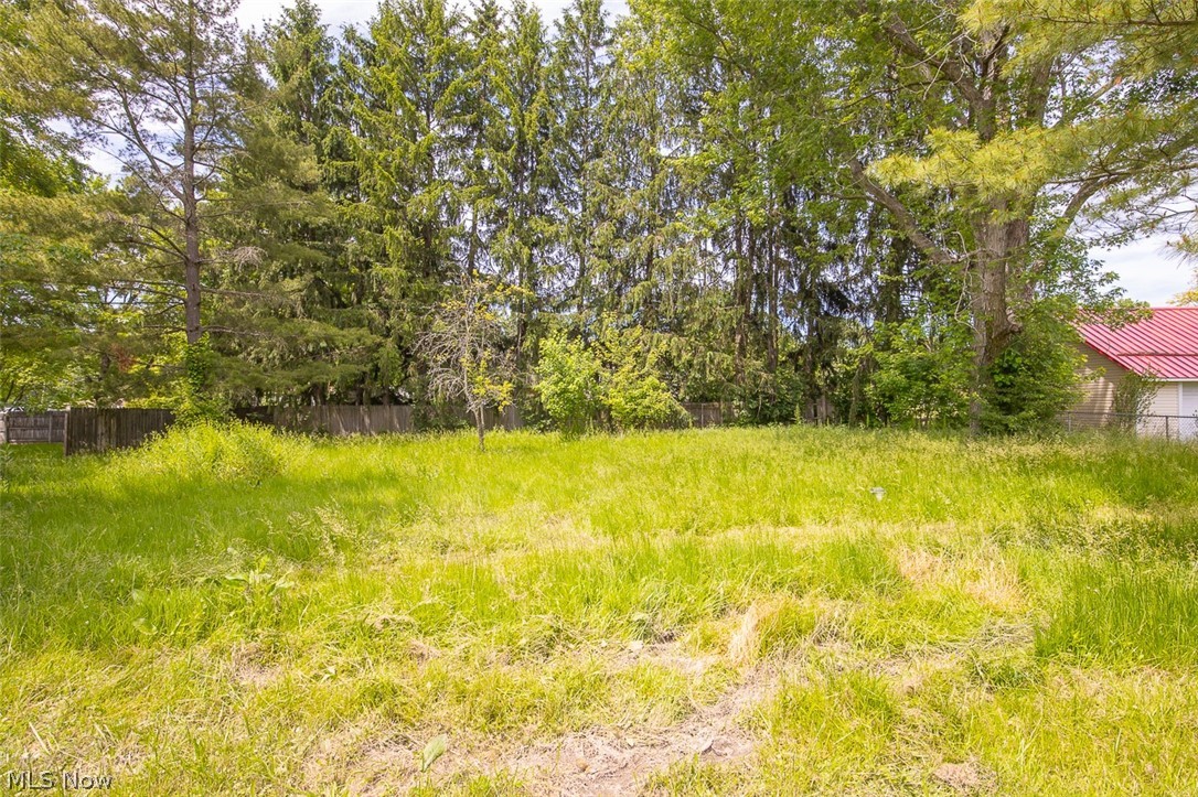 4215 Tapper Road Norton OH 44203