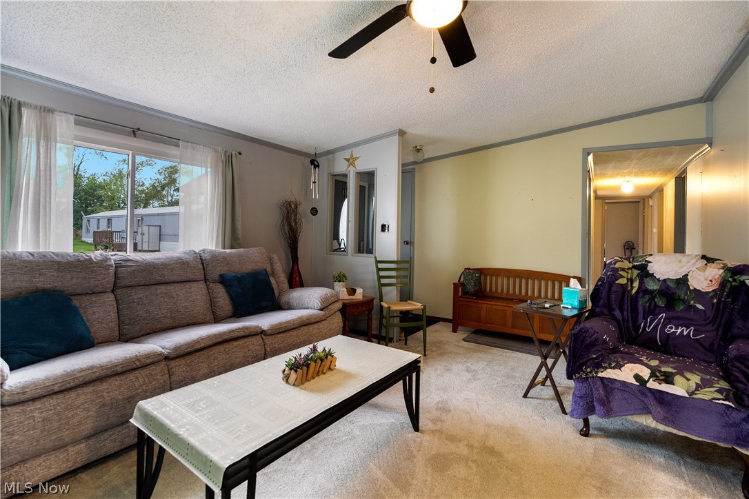 12205 Goshen Road Salem OH 44460