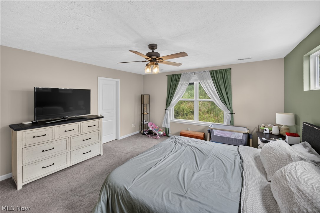 8643 Tahoe Drive Macedonia OH 44056
