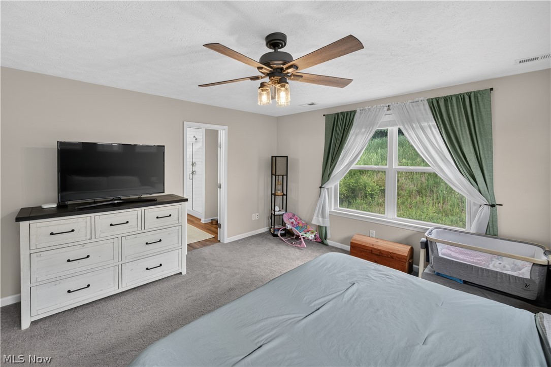 8643 Tahoe Drive Macedonia OH 44056