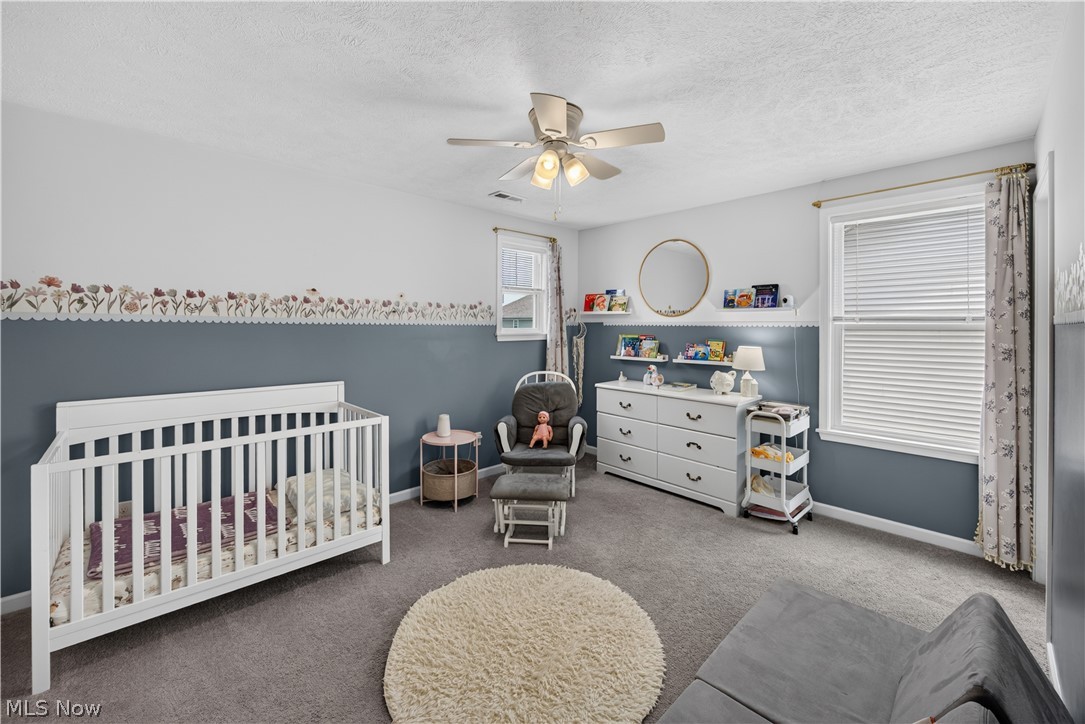 8643 Tahoe Drive Macedonia OH 44056