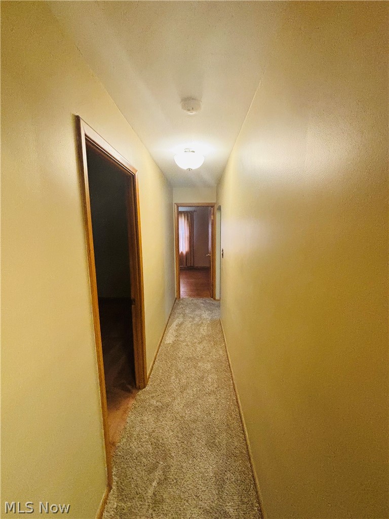 24346 Paradise Lane Euclid OH 44123