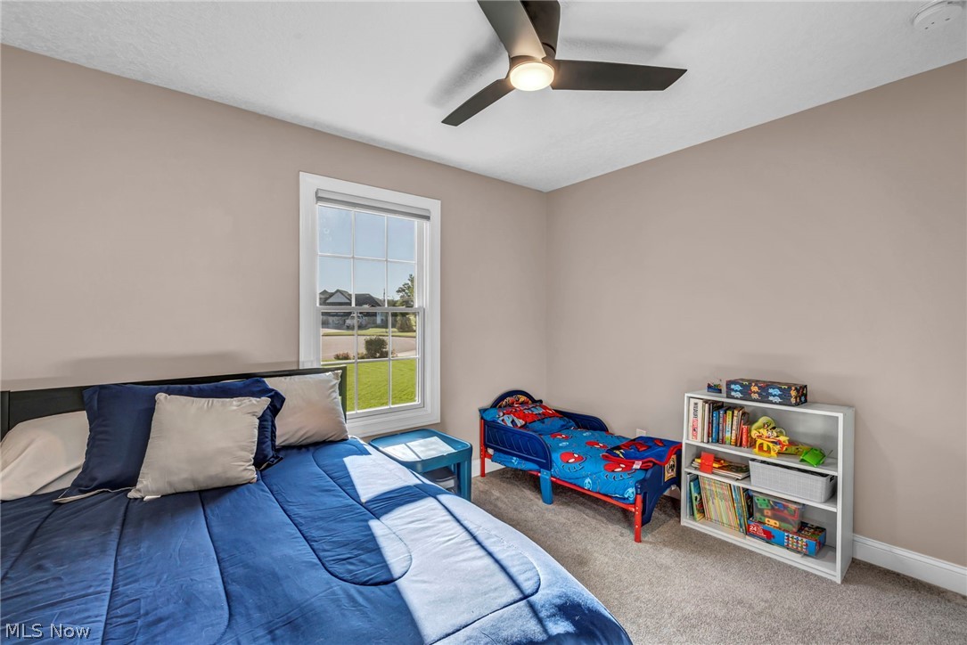 3998 Mary Way Canfield OH 44406