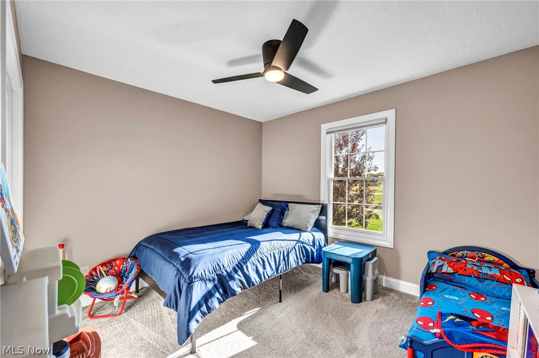 3998 Mary Way Canfield OH 44406