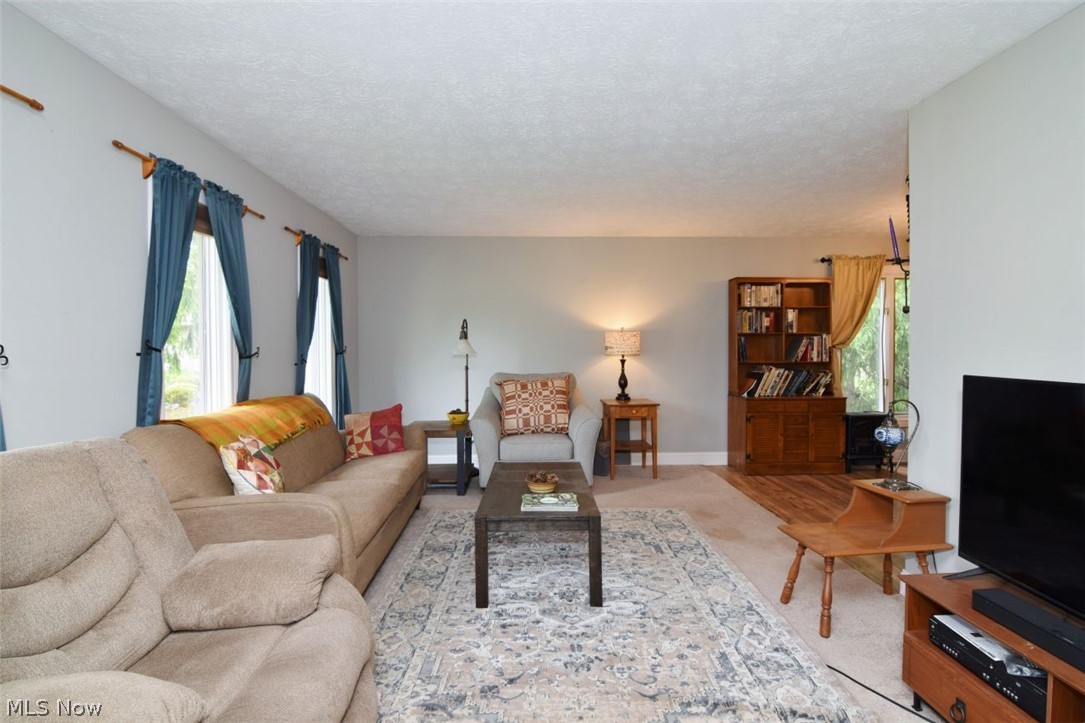 10797 Meadowgrass Road Strongsville OH 44149