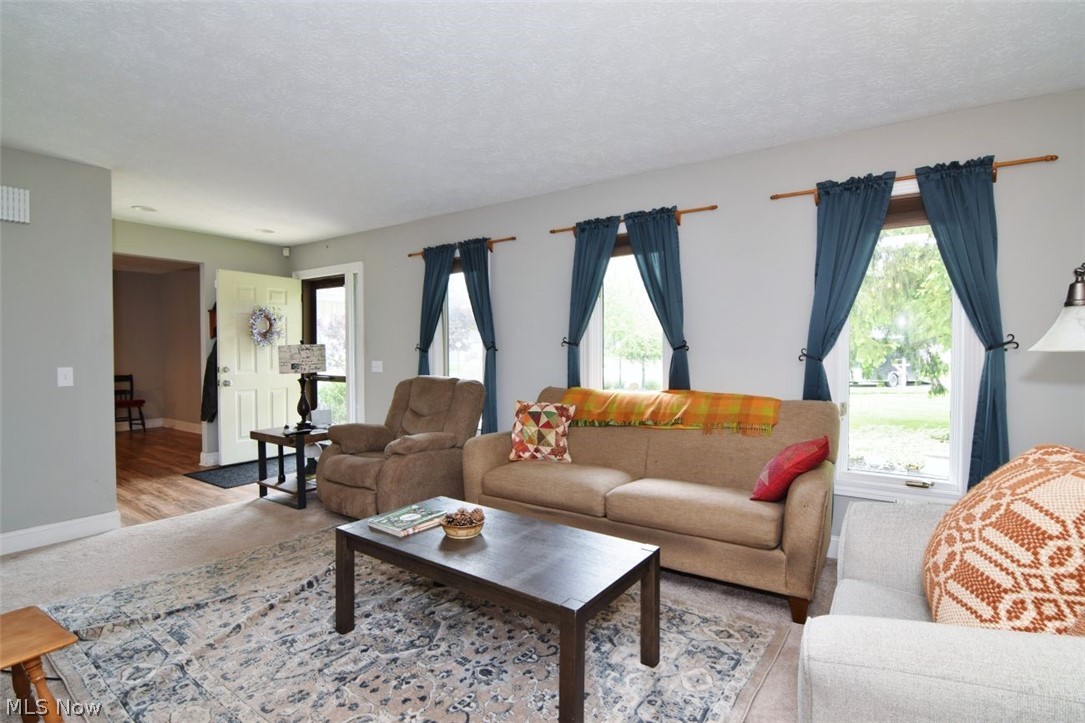 10797 Meadowgrass Road Strongsville OH 44149