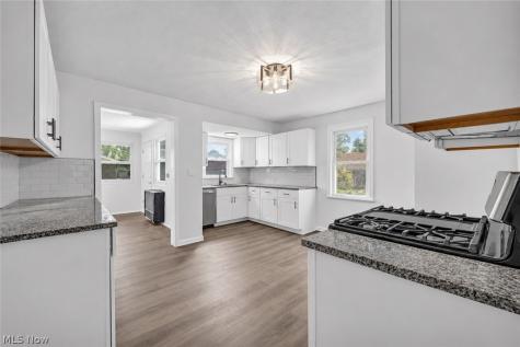 1361 Leavitt Road Lorain OH 44052