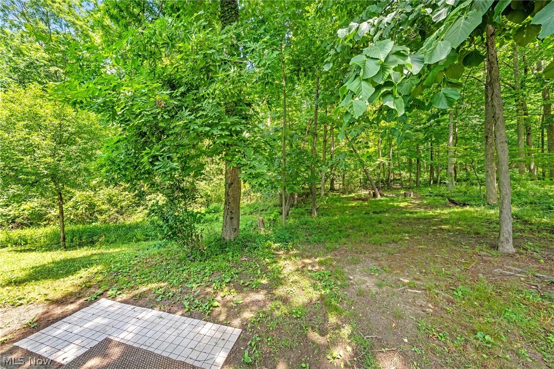 13099 Dorothy Drive Chesterland OH 44026
