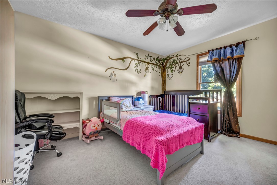 5698 Halwick Drive Ravenna OH 44266