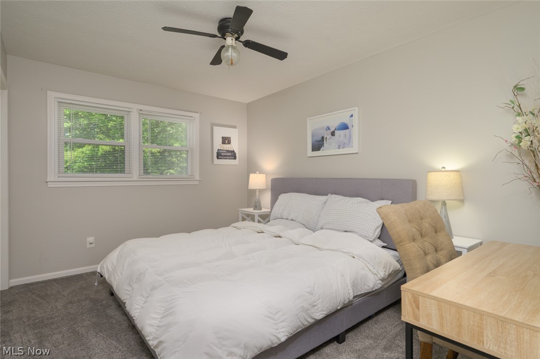 175 Carolyn Avenue Cortland OH 44410