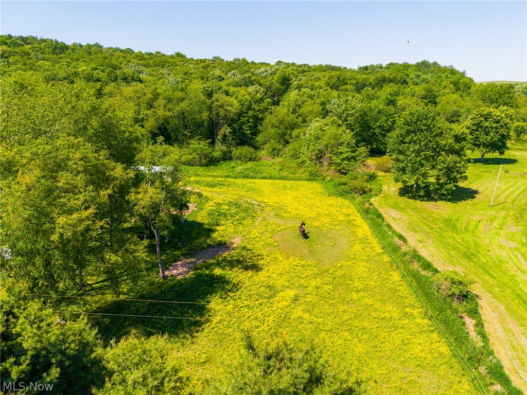 4151 Norse Road Salineville OH 43945
