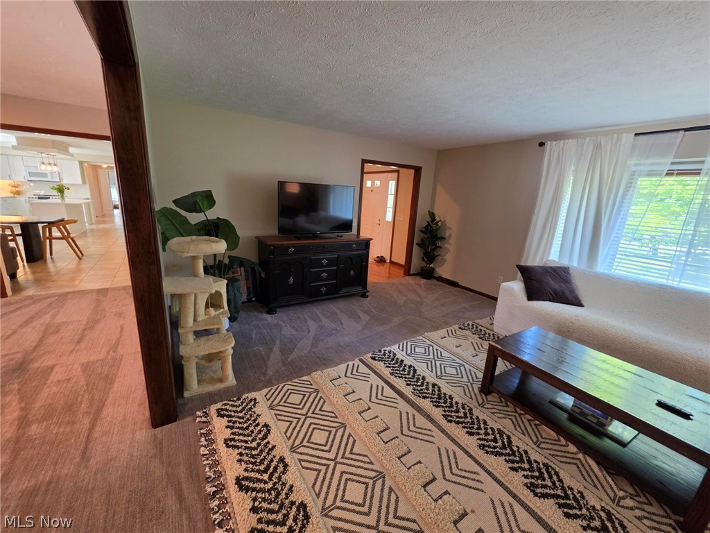 7409 Tattersall Drive Chesterland OH 44026