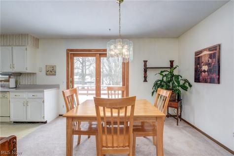 3811 Bramblewood Drive Brunswick OH 44212