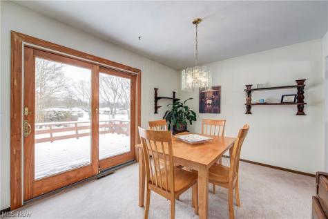 3811 Bramblewood Drive Brunswick OH 44212
