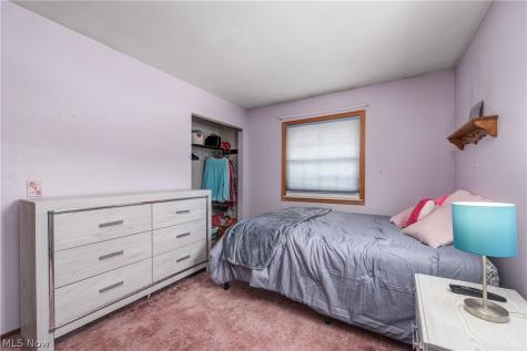 3811 Bramblewood Drive Brunswick OH 44212