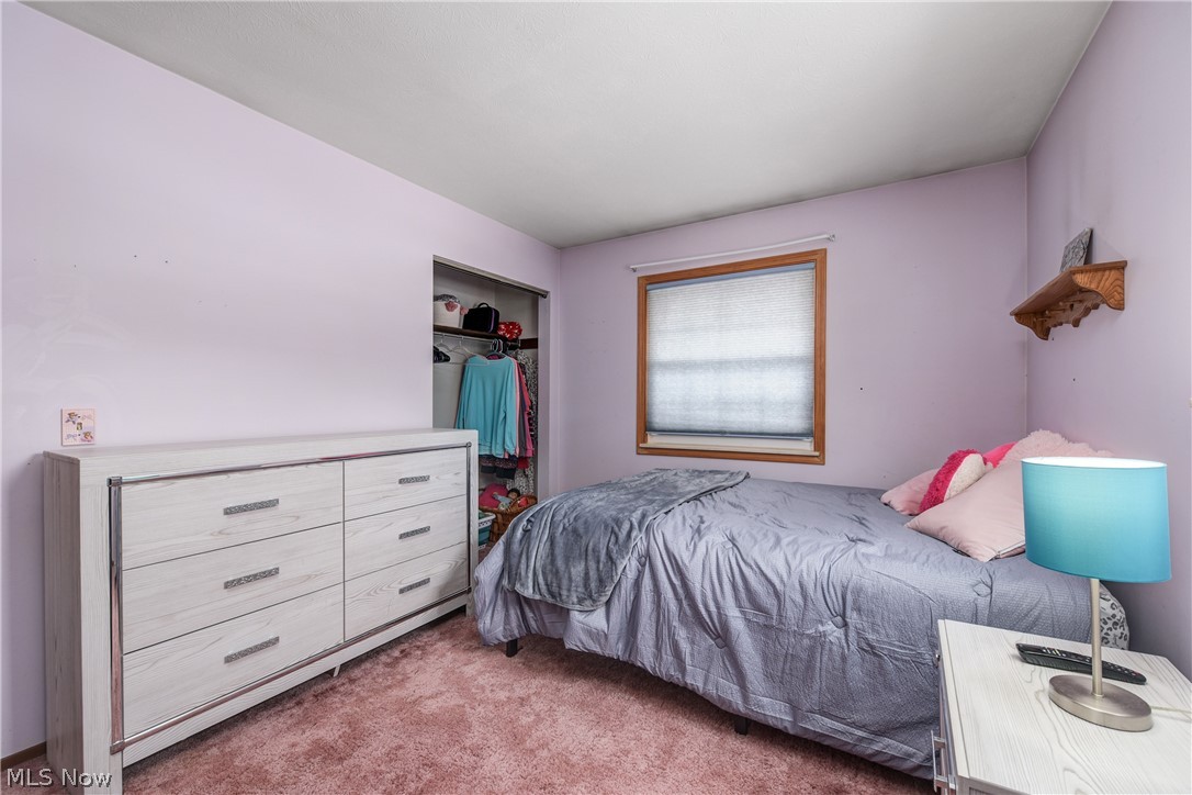 3811 Bramblewood Drive Brunswick OH 44212