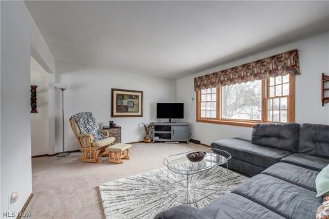 3811 Bramblewood Drive Brunswick OH 44212