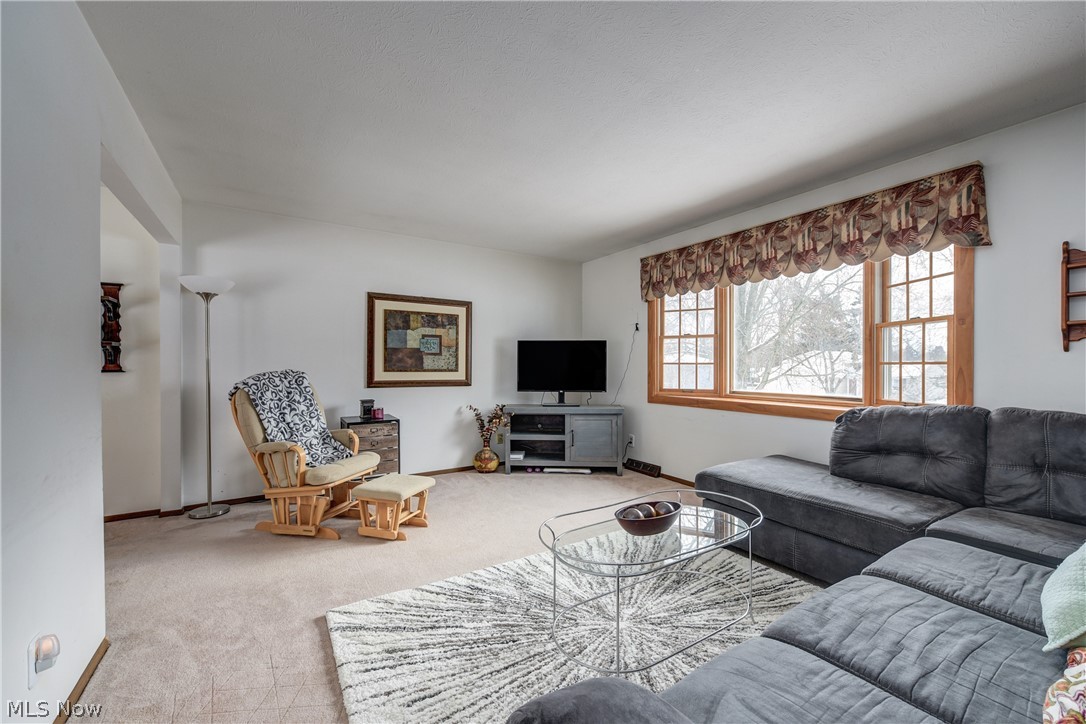 3811 Bramblewood Drive Brunswick OH 44212