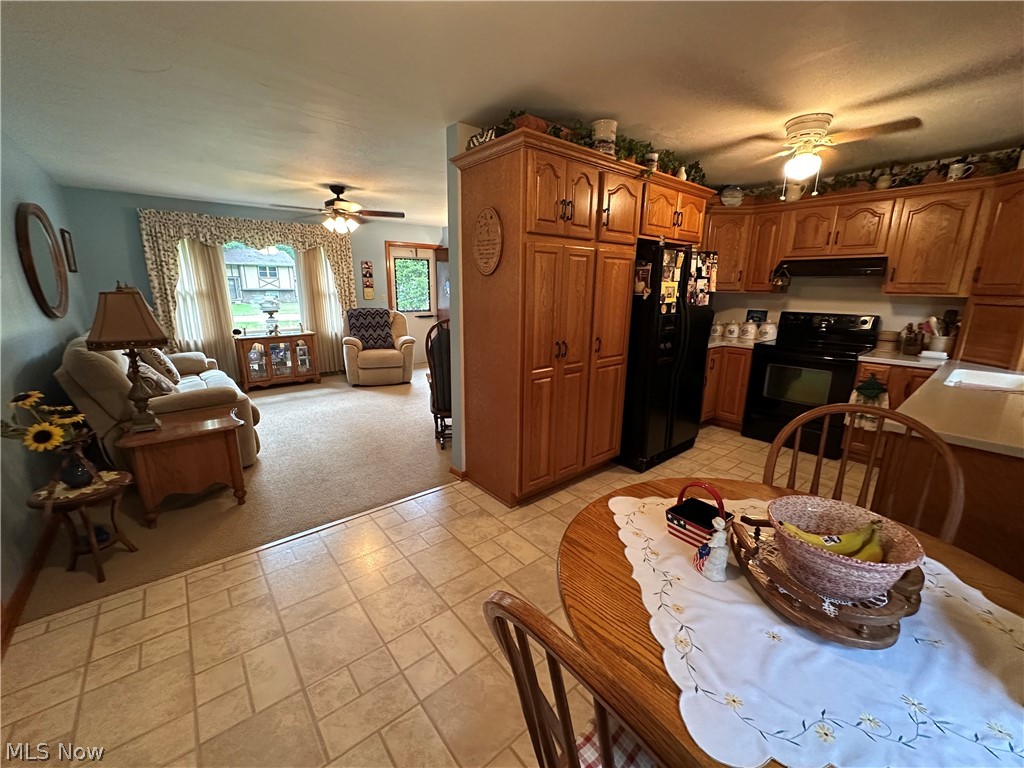 656 Dan Street Smithville OH 44677