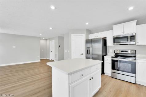 113 W Spring Drive Elyria OH 44035