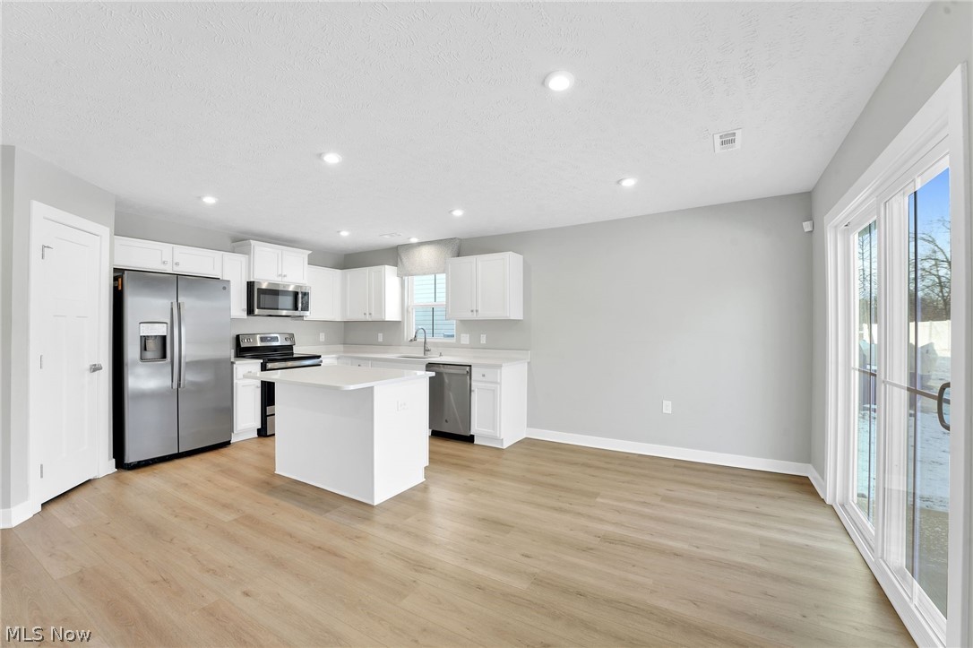 113 W Spring Drive Elyria OH 44035