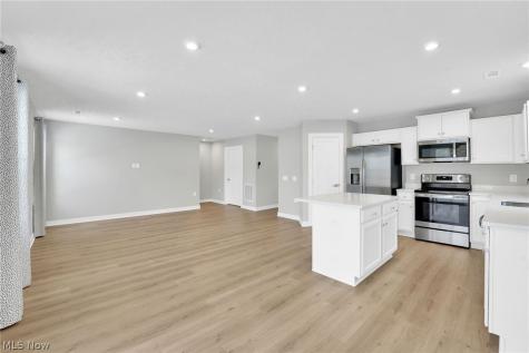 113 W Spring Drive Elyria OH 44035